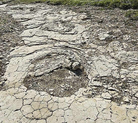 monstrous footmarks 1