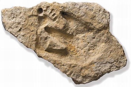 monstrous footmarks 8