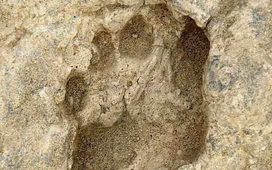 monstrous footmarks 9