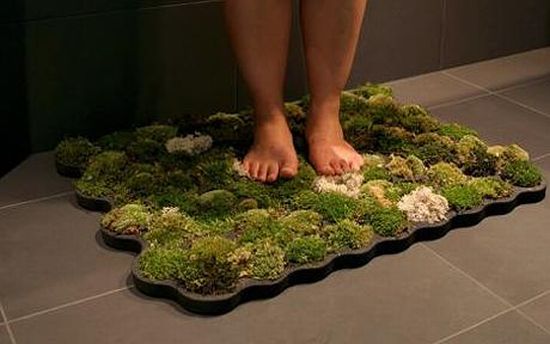 moss mat 1251030c 4VzBp 11446 moss mat 1251030c 4VzBp 11446