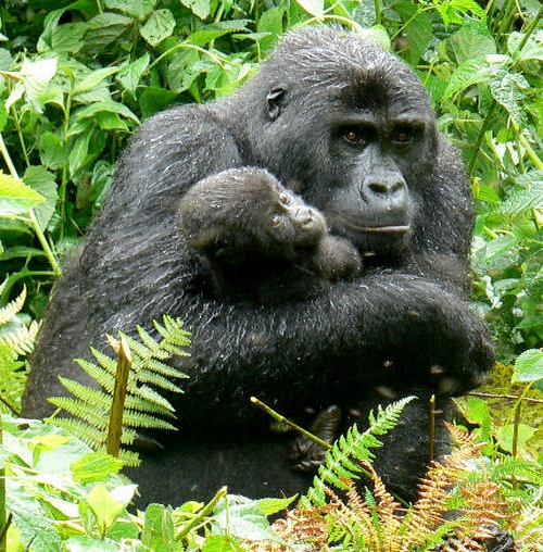 motherchild