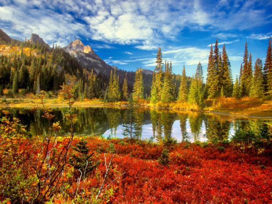 mount rainier national park