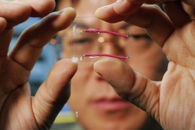 nano fibre