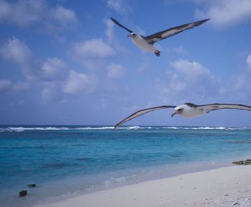 northwestern hawaiian islands papahanaumokuakea