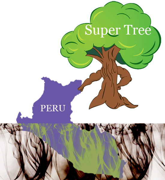 peru 1