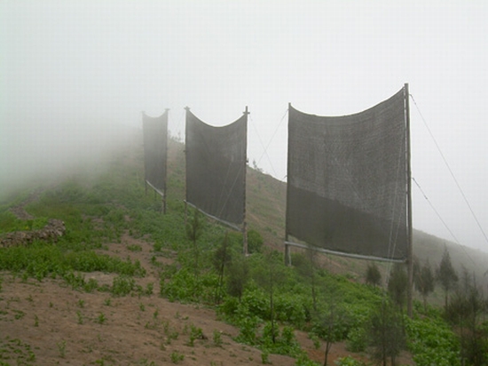 peruvian fog catcher2