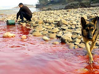 polluted china river