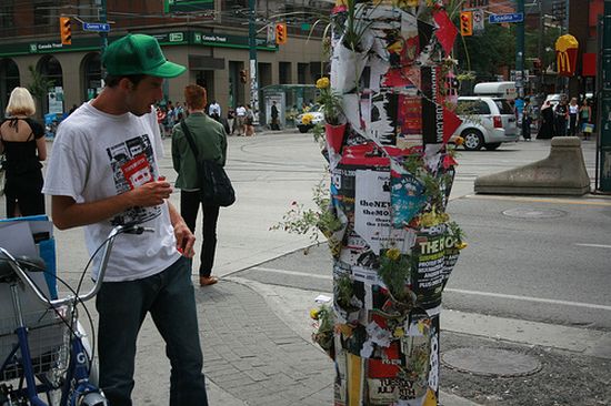 poster pocket plant