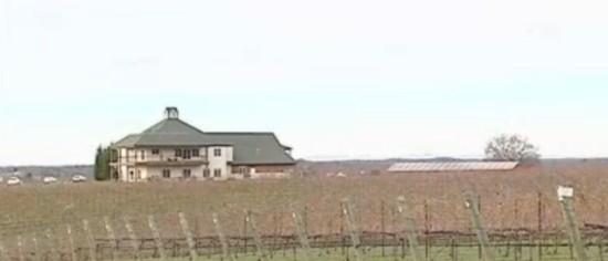 raylen vineyards and winery