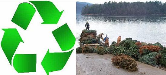 recycle recycle