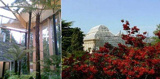 royal botanic garden