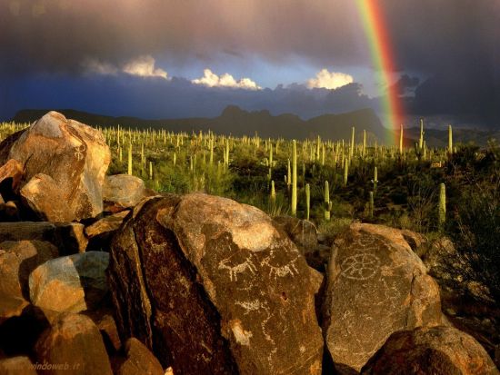 saguaro national park