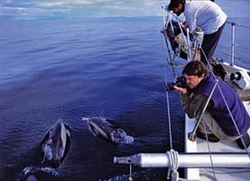saved from plying vessels 9