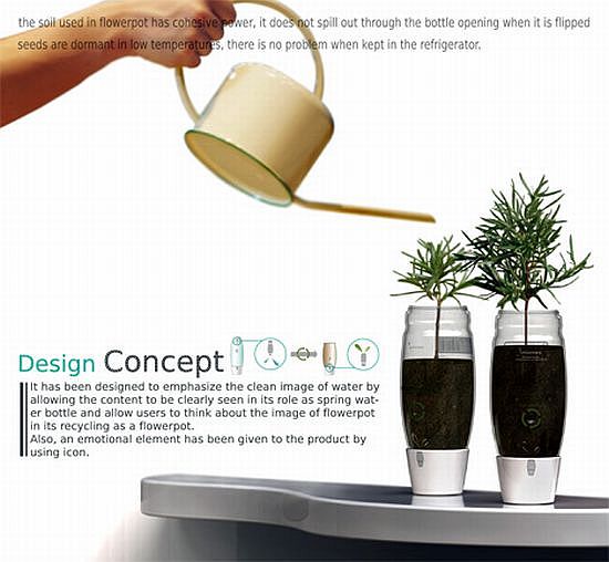 seeds in the bottle 3