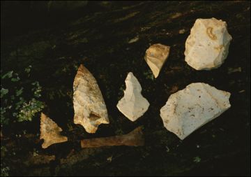 site in south carolina 9