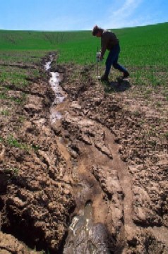 soil soil