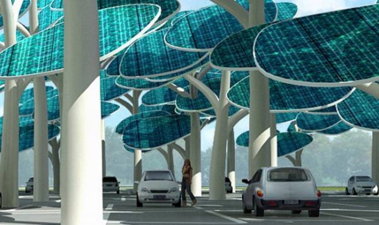 solar forest 1 solar forest 1