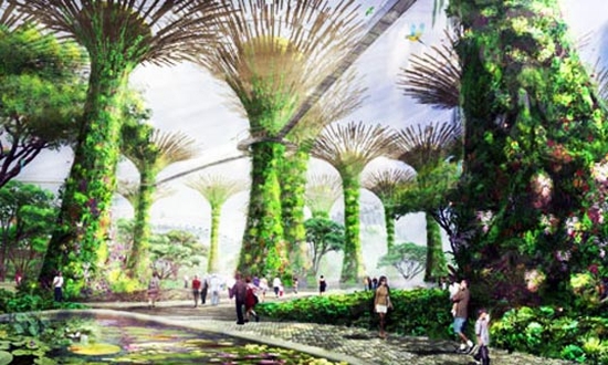 solar supetrees