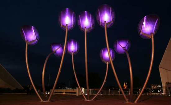 solar trees adelaide
