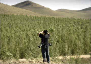 the green wall of china 9