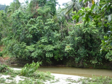 the philippine island of mindoro