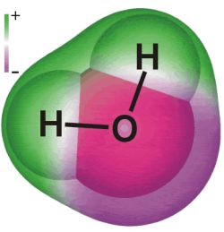 the structure of water 9