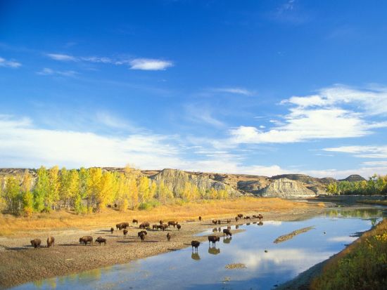 theodore roosevelt national park
