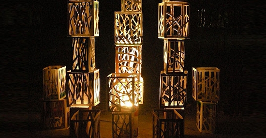tracey johnson trees for the forest