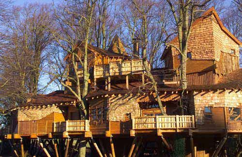 tree house 2