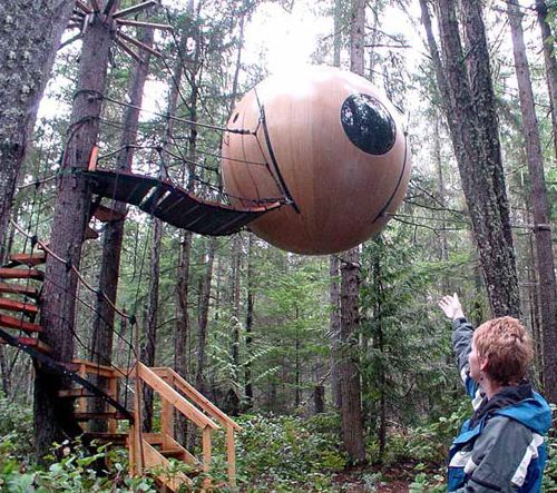 tree house 3