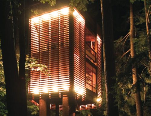 tree house 4
