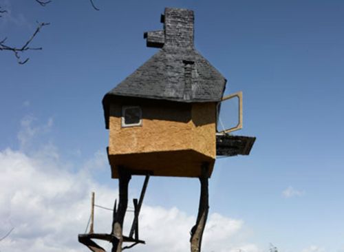 tree house 6