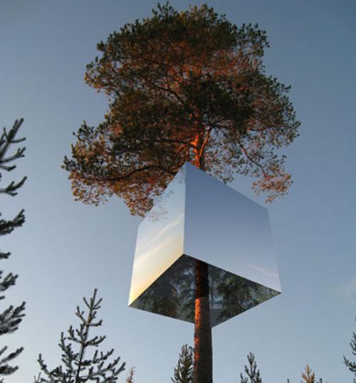 tree house 7