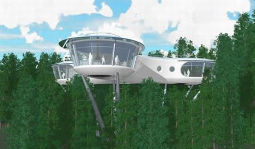 tree house 8