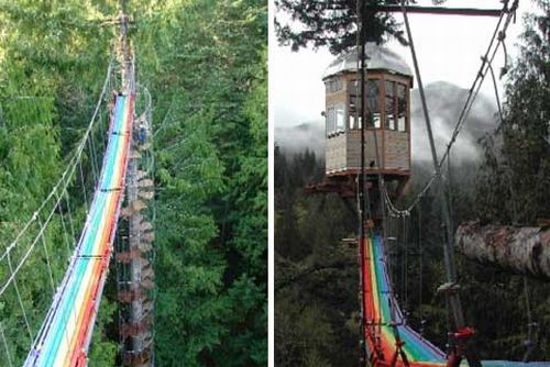 tree house 9