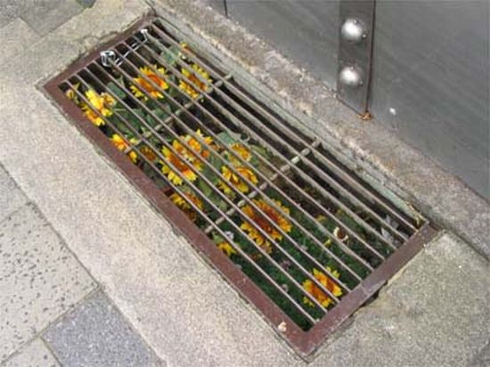 underground life