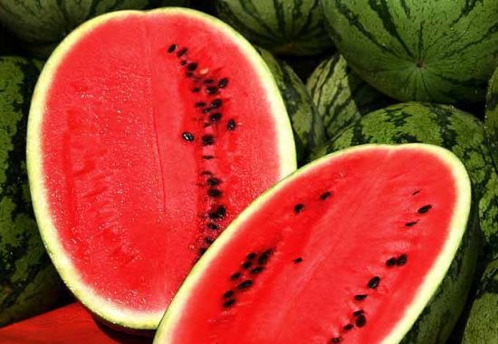 watermelons