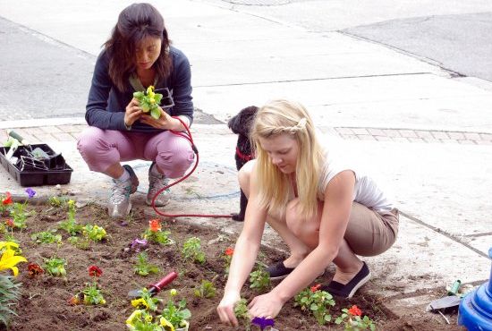 west end planting in toronto