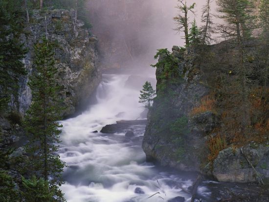 yellowstone national park