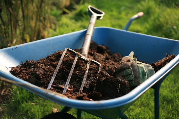 Compost the pet waste